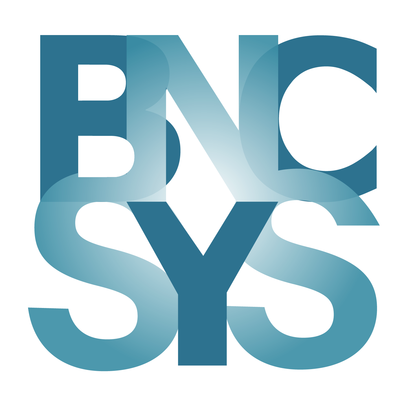 logo BNCSYS